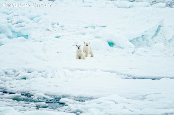 Two of them in such a big place..