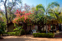 Bandhavgarh Jungle Lodge